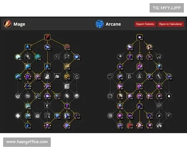 法师技能加点最强搭配指南全面解析助你轻松掌握职业优势