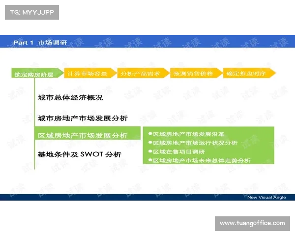 狮鹫训练中的常见问题分析与有效解决策略指导