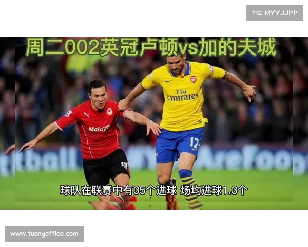 加的夫城足球队的联赛表现与辉煌历史探索